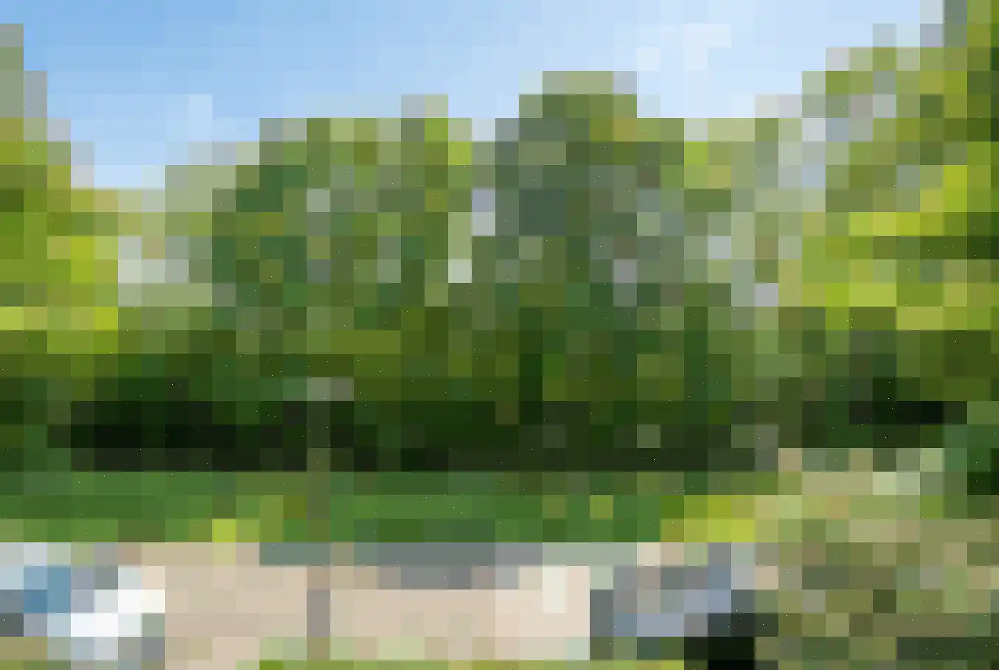 Willibrordlaan 12 Oegstgeest thumbnail 44