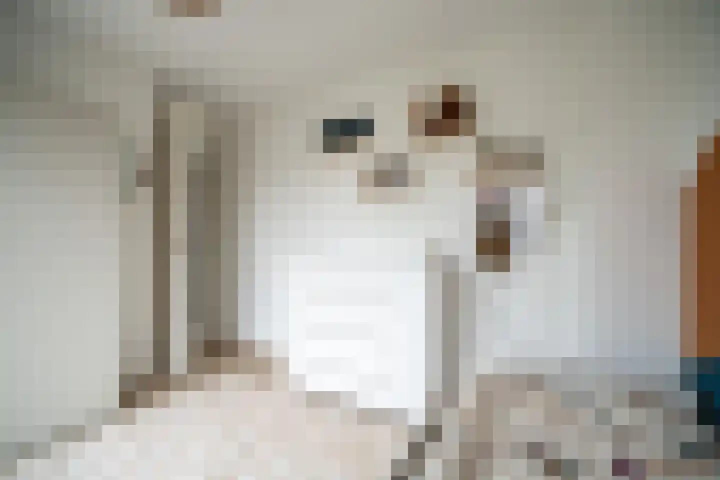 Willibrordlaan 12 Oegstgeest thumbnail 51