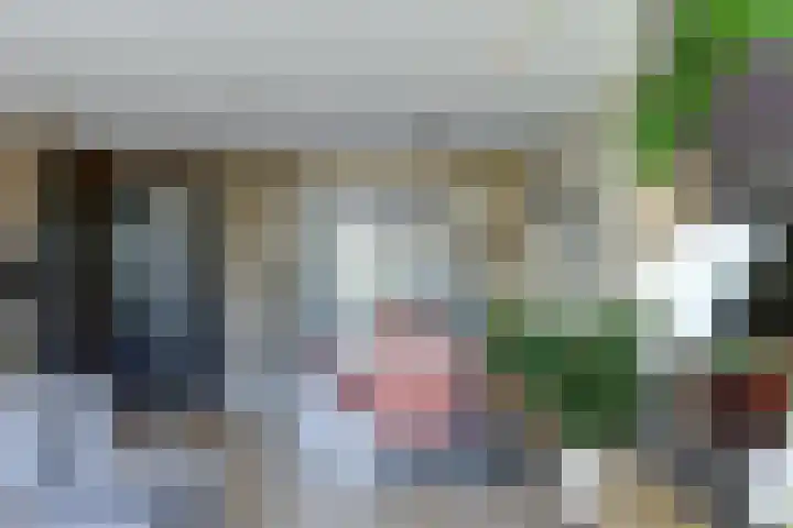 Willibrordlaan 15 Rijnsburg thumbnail 19