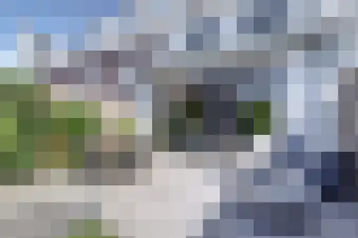 Willibrordlaan 15 Rijnsburg thumbnail 6