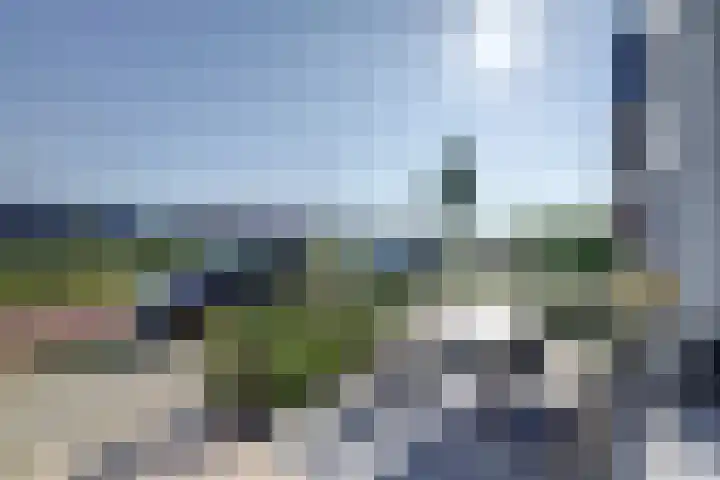 Willibrordlaan 15 Rijnsburg thumbnail 8