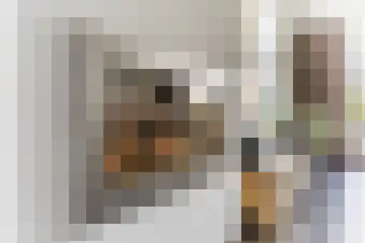 Willibrordlaan 18 Hulsel thumbnail 11