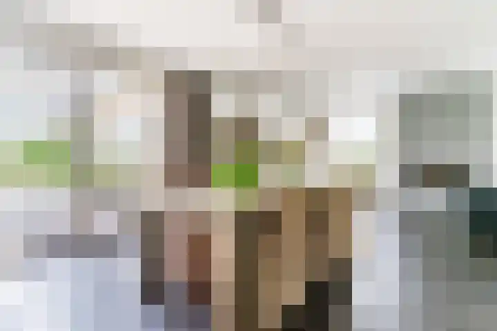 Willibrordlaan 18 Hulsel thumbnail 13