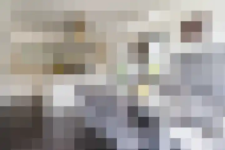 Willibrordlaan 18 Hulsel thumbnail 14