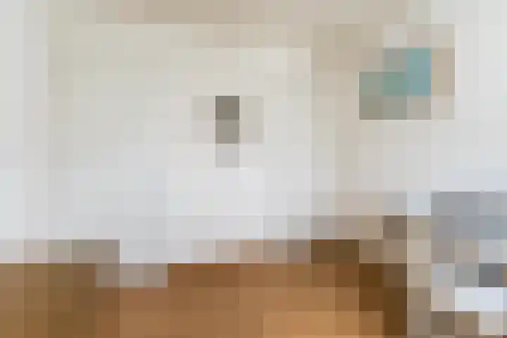 Willibrordlaan 18 Hulsel thumbnail 26