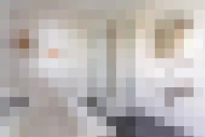 Willibrordlaan 18 Hulsel thumbnail 27