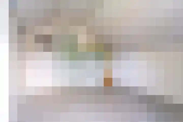 Willibrordlaan 18 Hulsel thumbnail 30