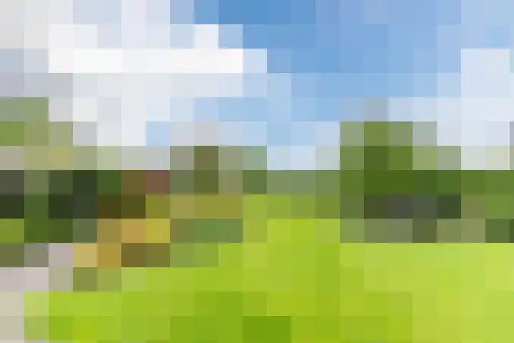 Willibrordlaan 18 Hulsel thumbnail 4