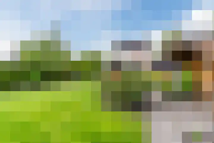 Willibrordlaan 18 Hulsel thumbnail 40