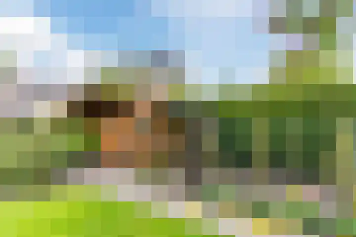 Willibrordlaan 18 Hulsel thumbnail 41