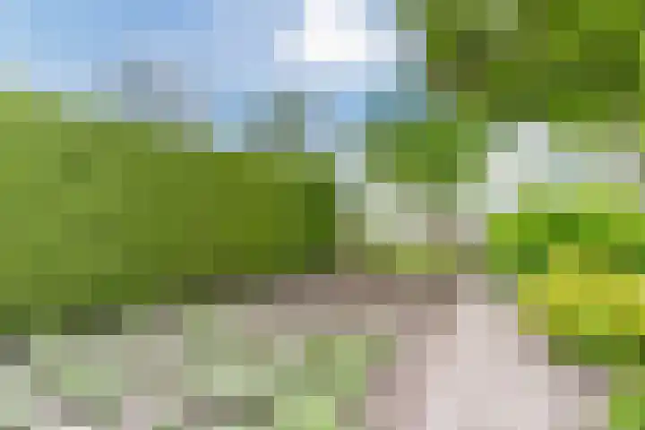 Willibrordlaan 18 Hulsel thumbnail 42