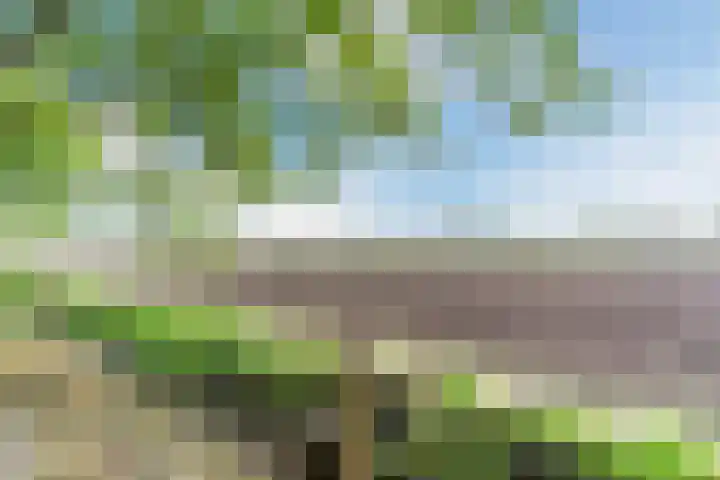 Willibrordlaan 18 Hulsel thumbnail 43
