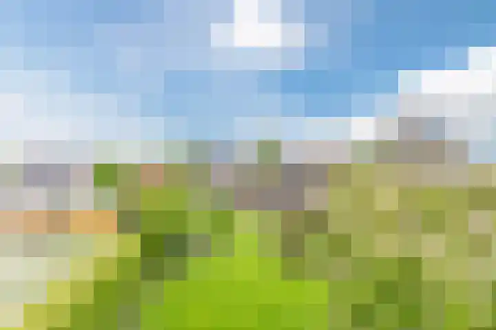 Willibrordlaan 18 Hulsel thumbnail 44