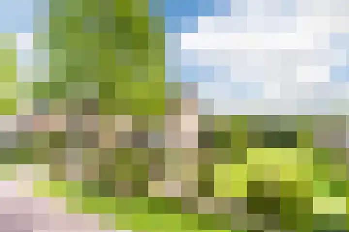 Willibrordlaan 18 Hulsel thumbnail 5