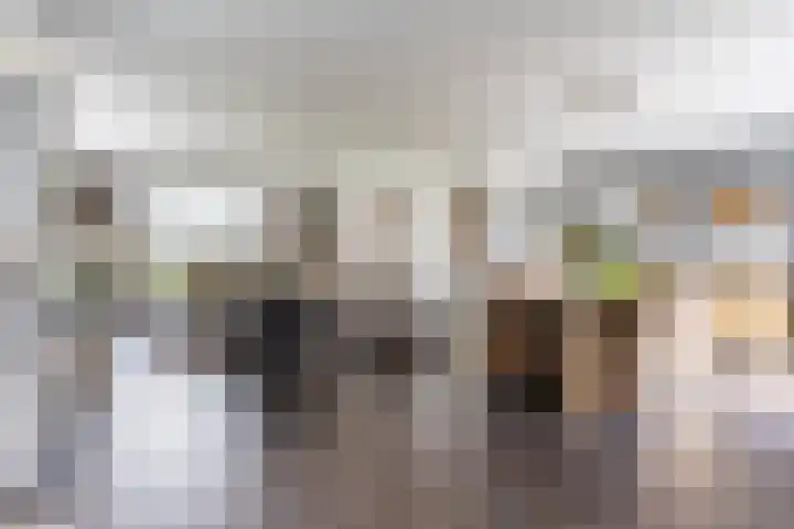 Willibrordlaan 18 Hulsel thumbnail 8