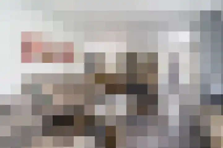 Willibrordlaan 18 Hulsel thumbnail 9