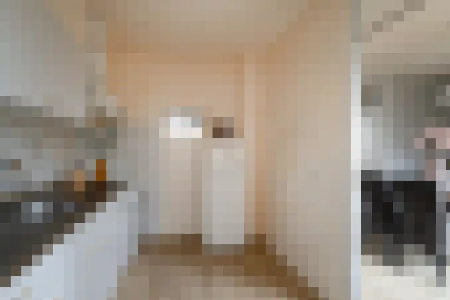Willibrordlaan 21 Losser thumbnail 14