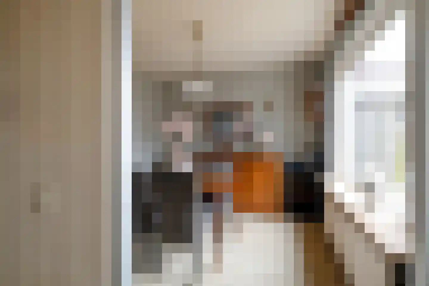 Willibrordlaan 21 Losser thumbnail 15