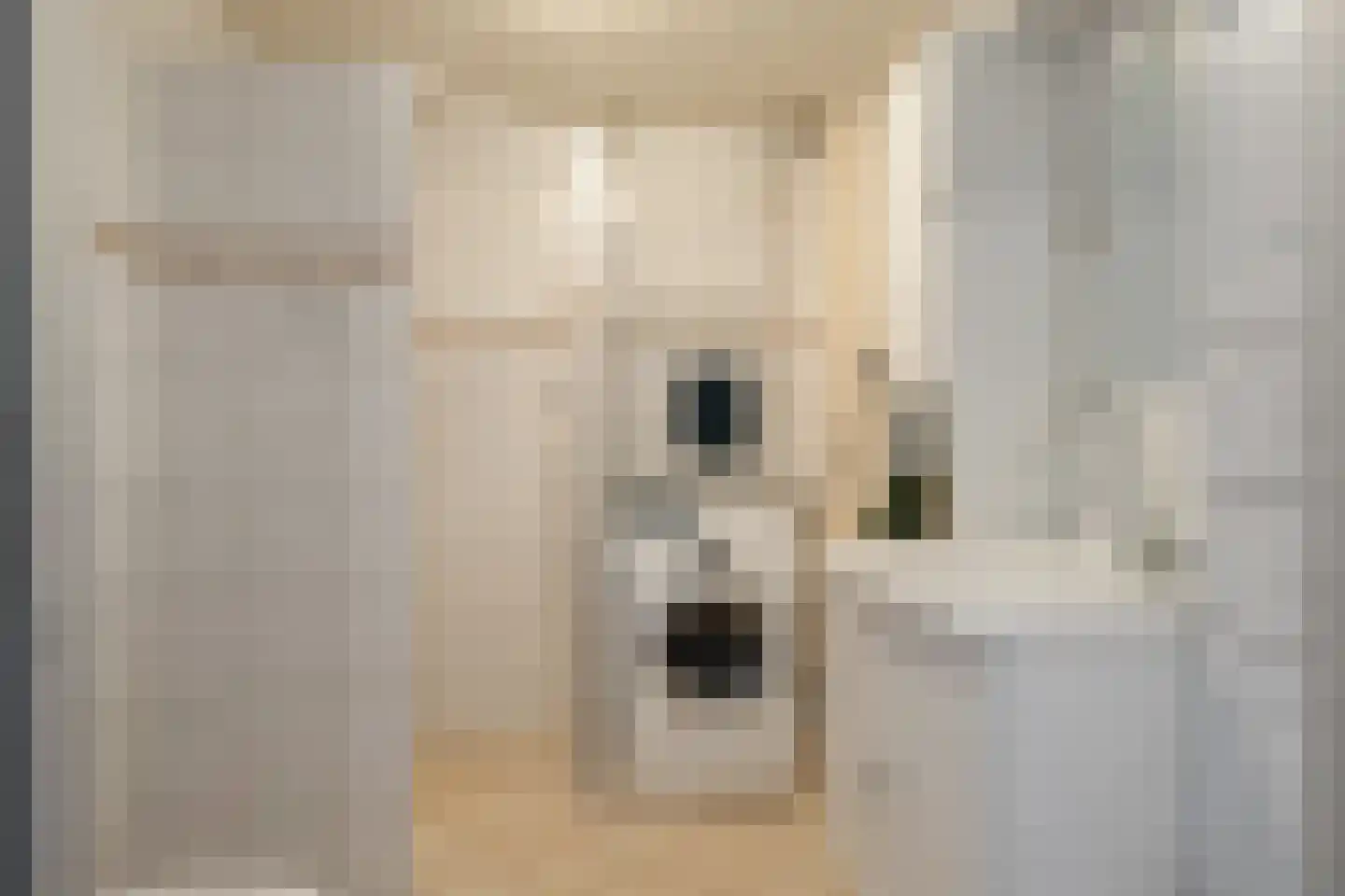 Willibrordlaan 21 Losser thumbnail 25