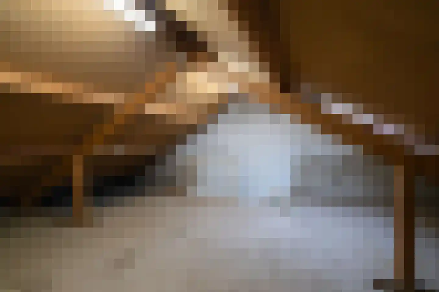 Willibrordlaan 21 Losser thumbnail 29