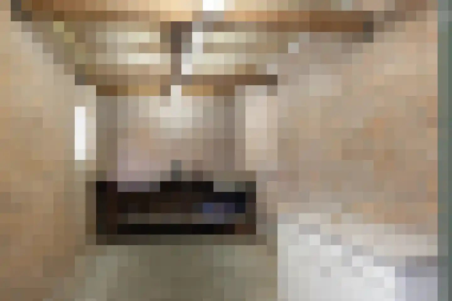 Willibrordlaan 21 Losser thumbnail 34
