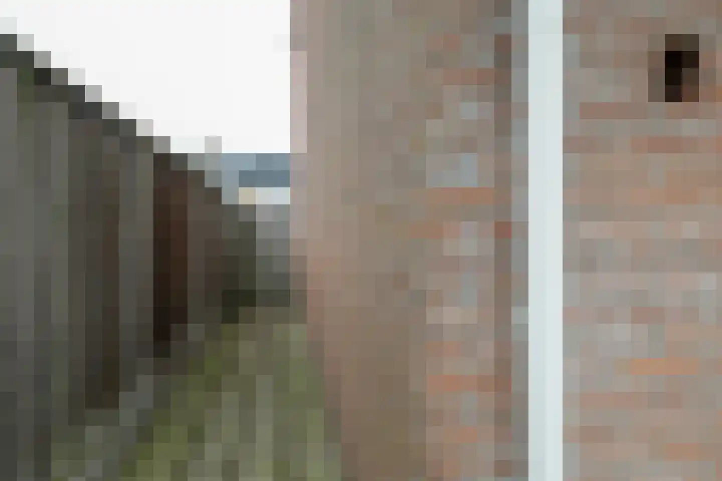 Willibrordlaan 21 Losser thumbnail 37