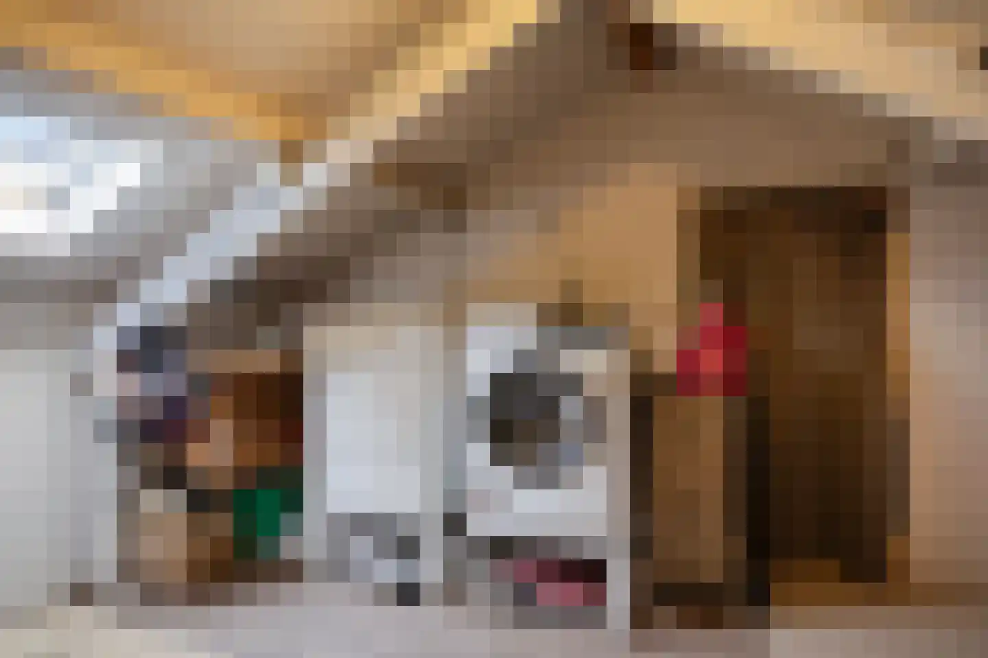 Willibrordlaan 27 Losser thumbnail 22