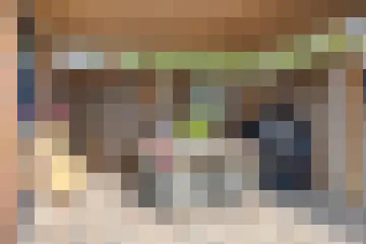 Willibrordlaan 27 Losser thumbnail 24