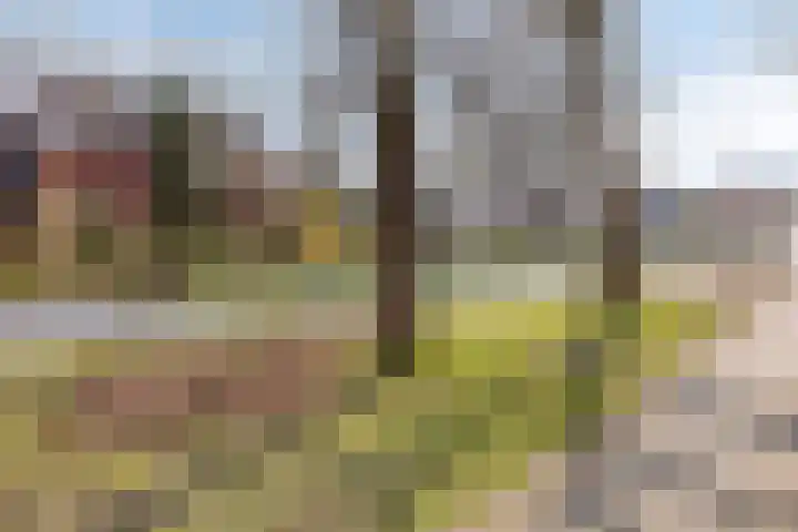 Willibrordlaan 27 Losser thumbnail 28