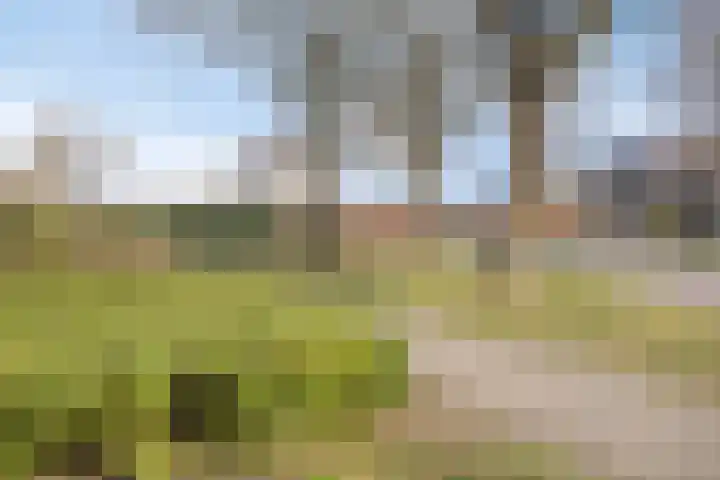 Willibrordlaan 27 Losser thumbnail 29