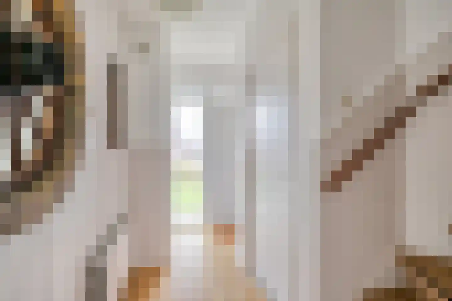 Willibrordlaan 3 a Hulsel thumbnail 5