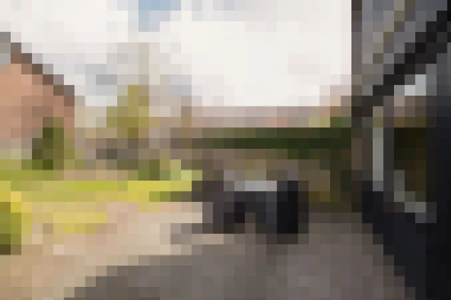 Willibrordlaan 54 Losser thumbnail 32