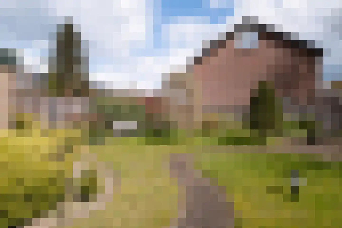 Willibrordlaan 54 Losser thumbnail 33