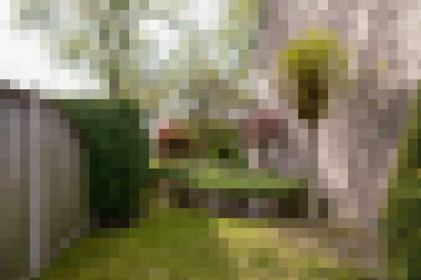 Willibrordlaan 54 Losser thumbnail 35