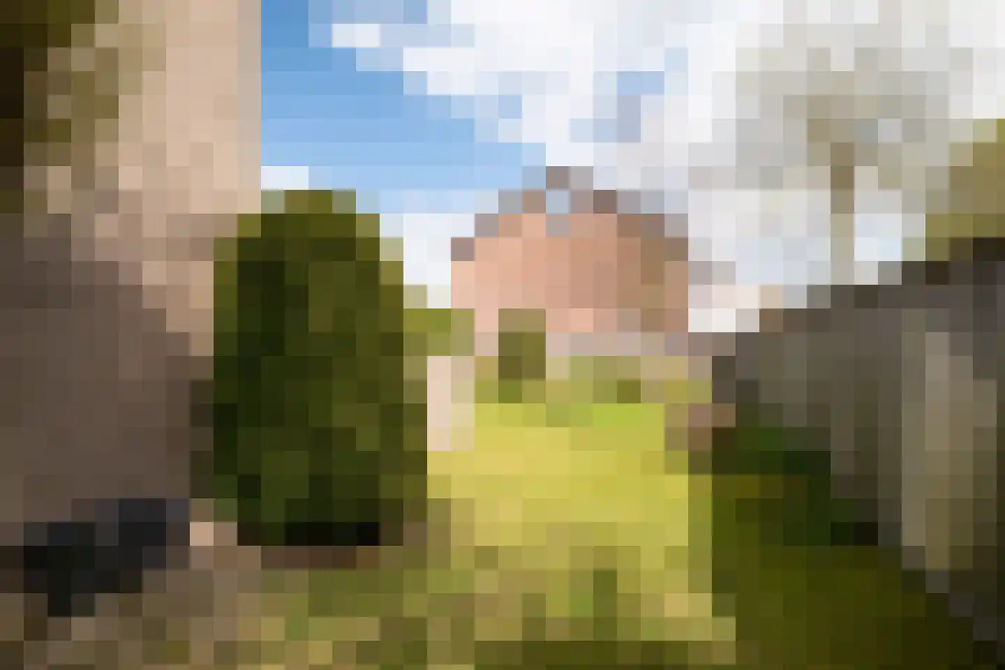 Willibrordlaan 54 Losser thumbnail 36