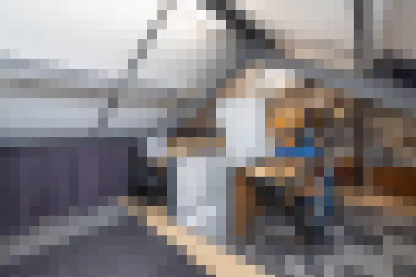 Willibrordlaan 9 Losser thumbnail 16