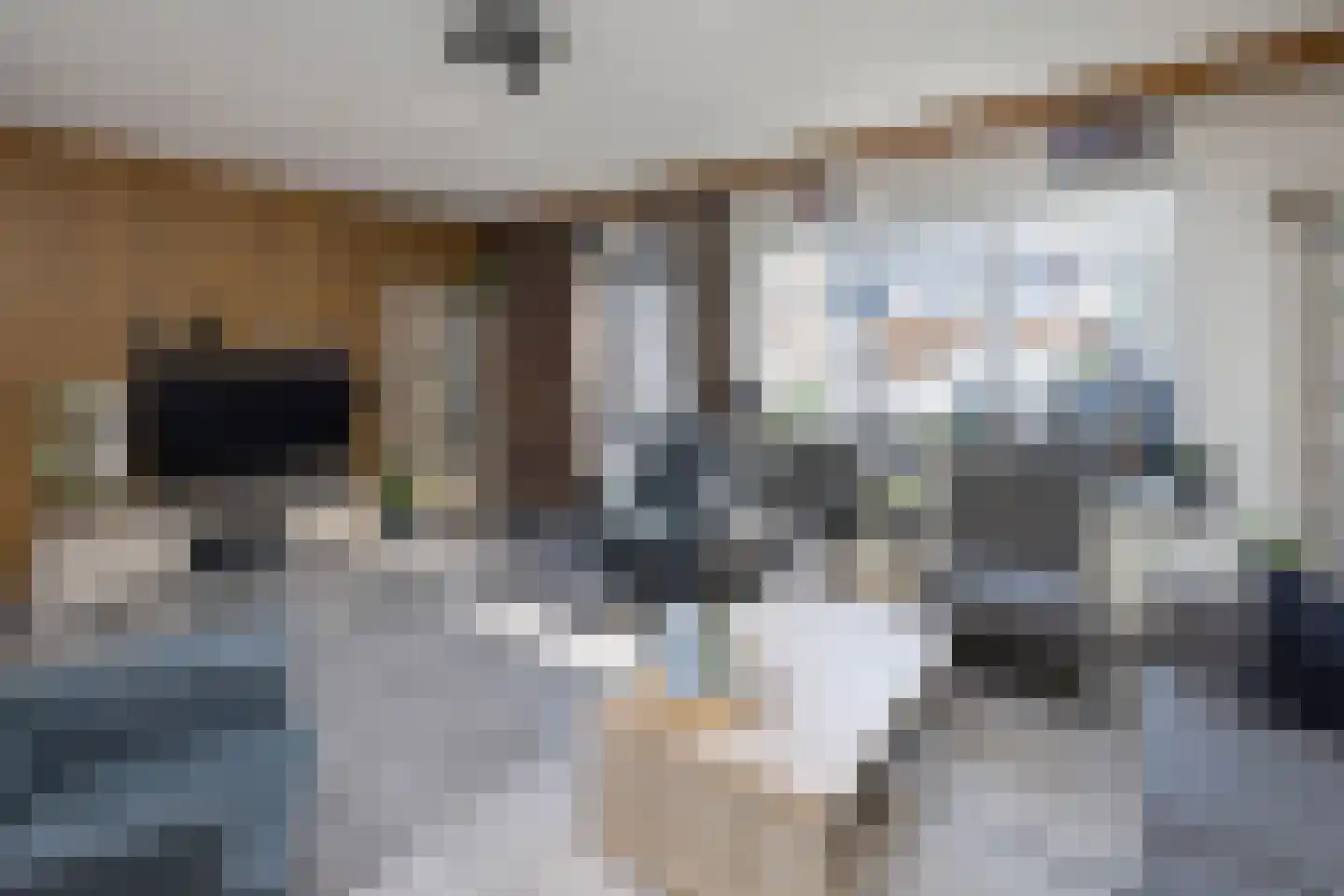 Willibrordlaan 9 Losser thumbnail 5
