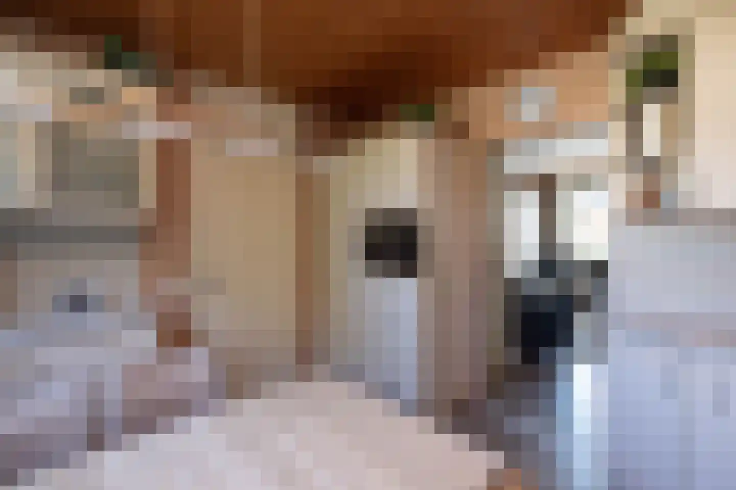 Willibrordlaan 9 Losser thumbnail 8