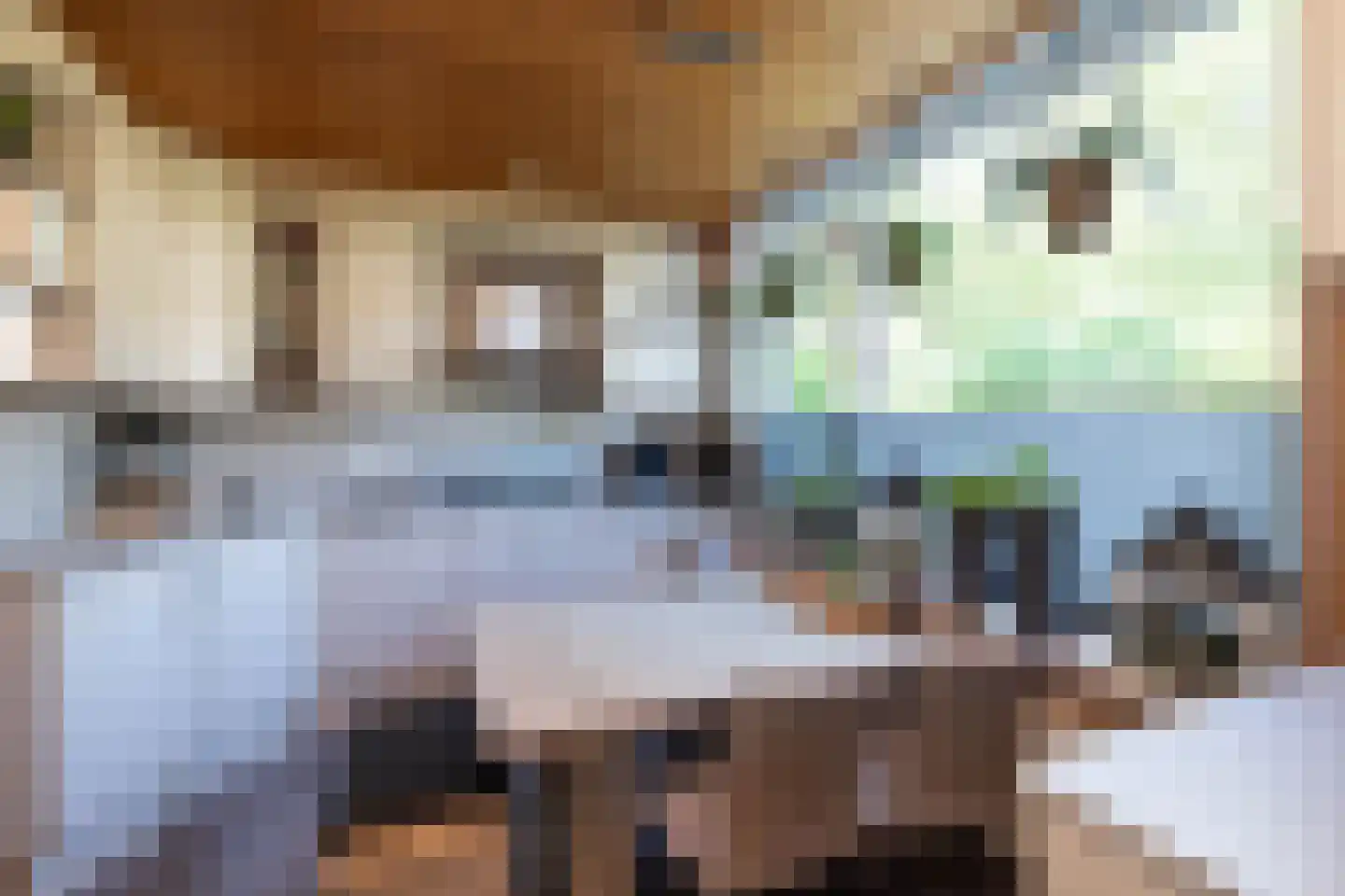 Willibrordlaan 9 Losser thumbnail 9
