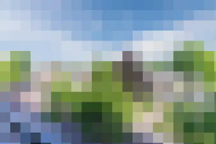Willibrorduslaan 1 k Eersel thumbnail 23