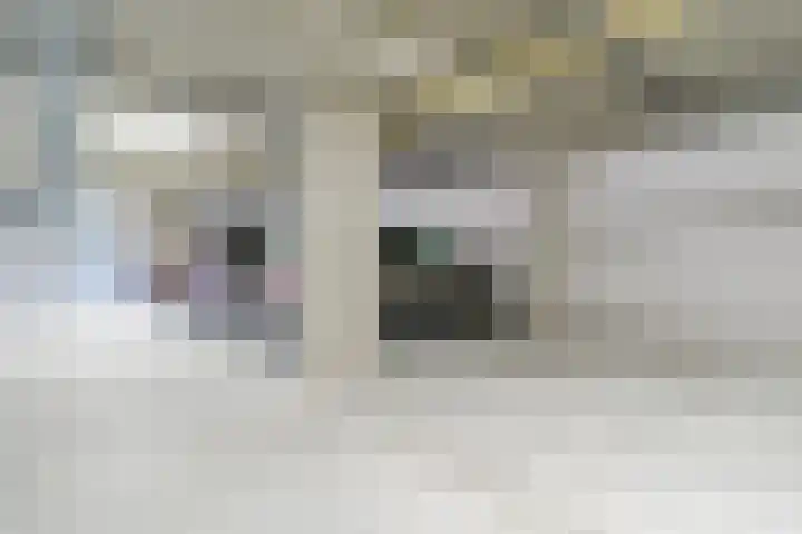 Willibrorduslaan 1 k Eersel thumbnail 26