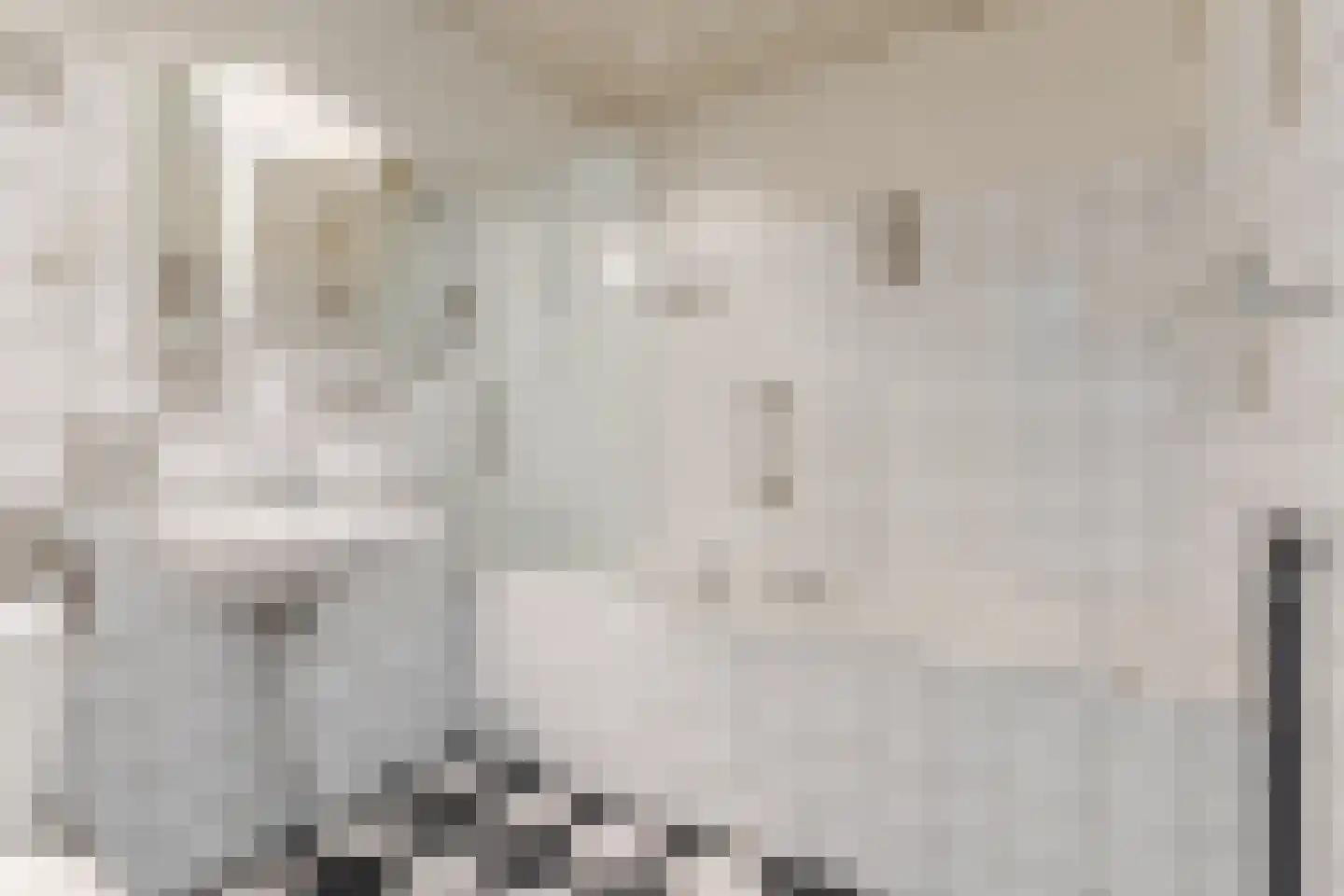 Willibrorduslaan 10 b Eersel thumbnail 23