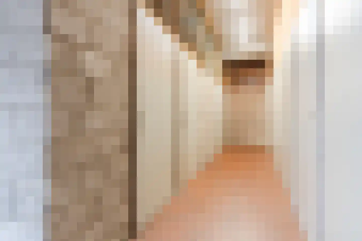 Willibrorduslaan 10 b Eersel thumbnail 26
