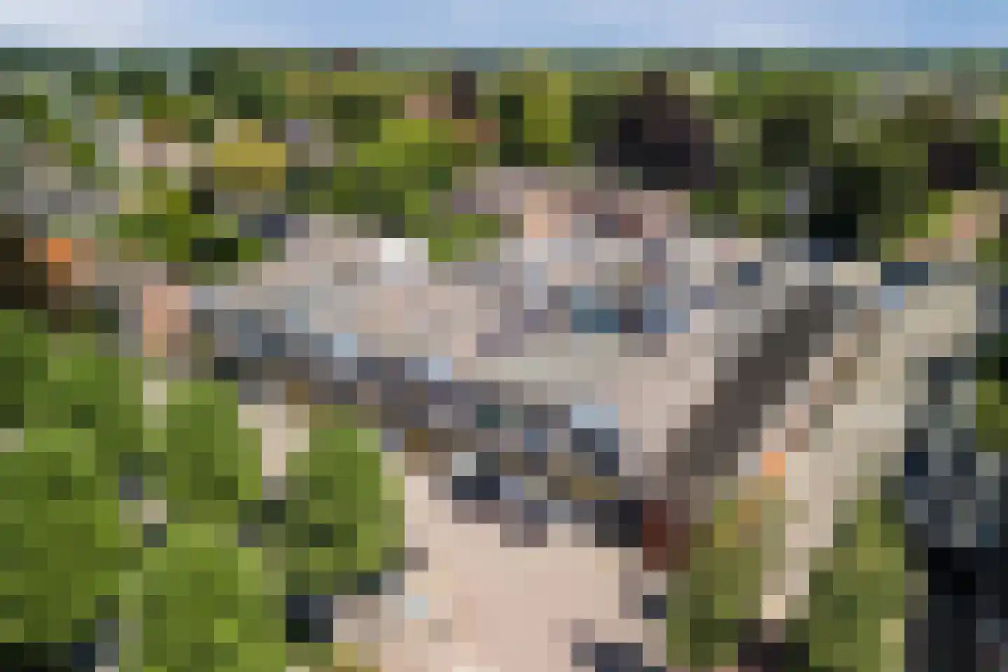 Willibrorduslaan 10 b Eersel thumbnail 34