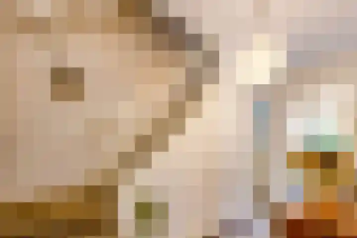 Willibrorduslaan 10 e Eersel thumbnail 10