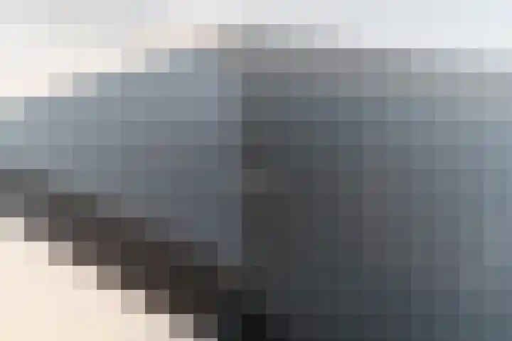Willibrorduslaan 10 e Eersel thumbnail 24