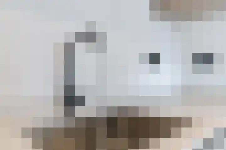 Willibrorduslaan 10 e Eersel thumbnail 25