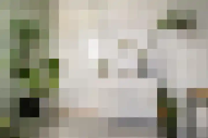Willibrorduslaan 10 e Eersel thumbnail 34