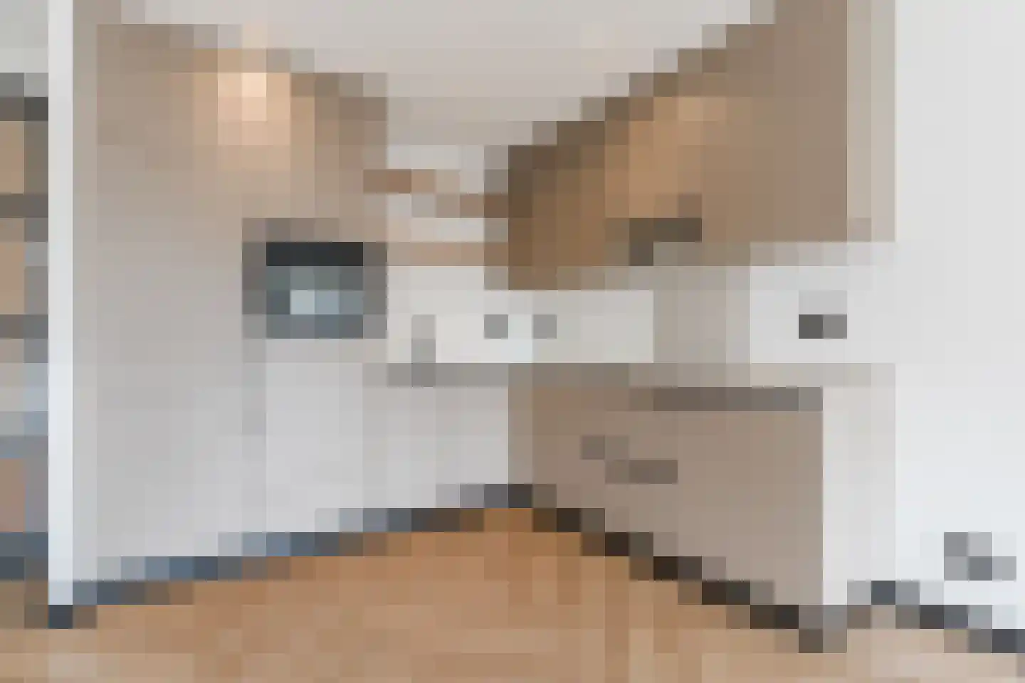 Willibrorduslaan 10 e Eersel thumbnail 6