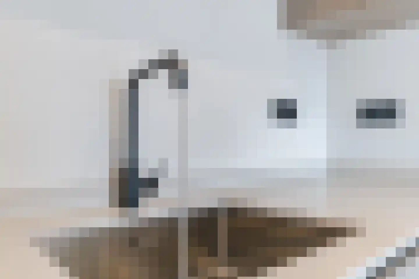 Willibrorduslaan 10 e Eersel thumbnail 8